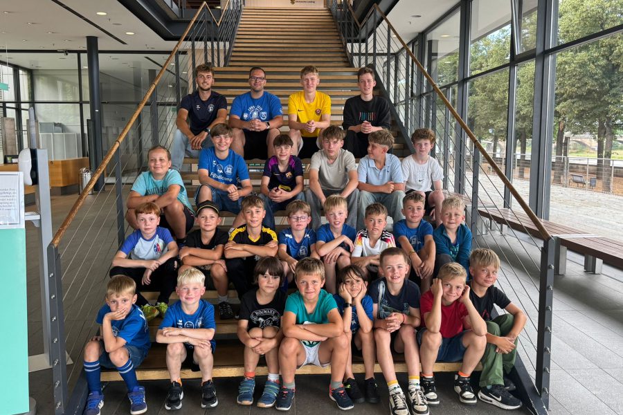 a34ed317-dd34-44c4-bf4a-a1cf08982431